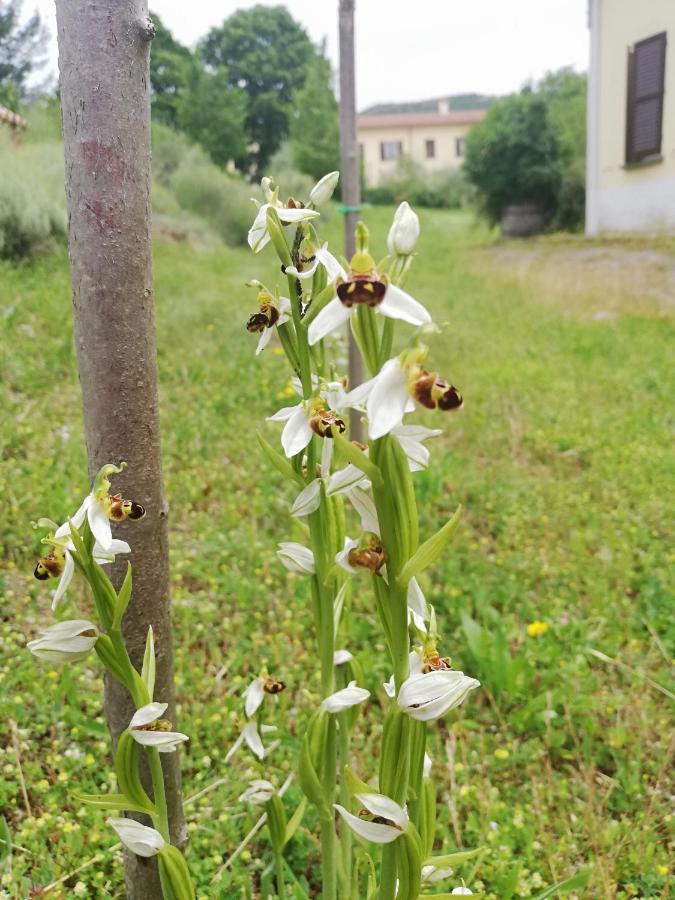 Valle Del Poggio Nocera Umbra Exterior foto
